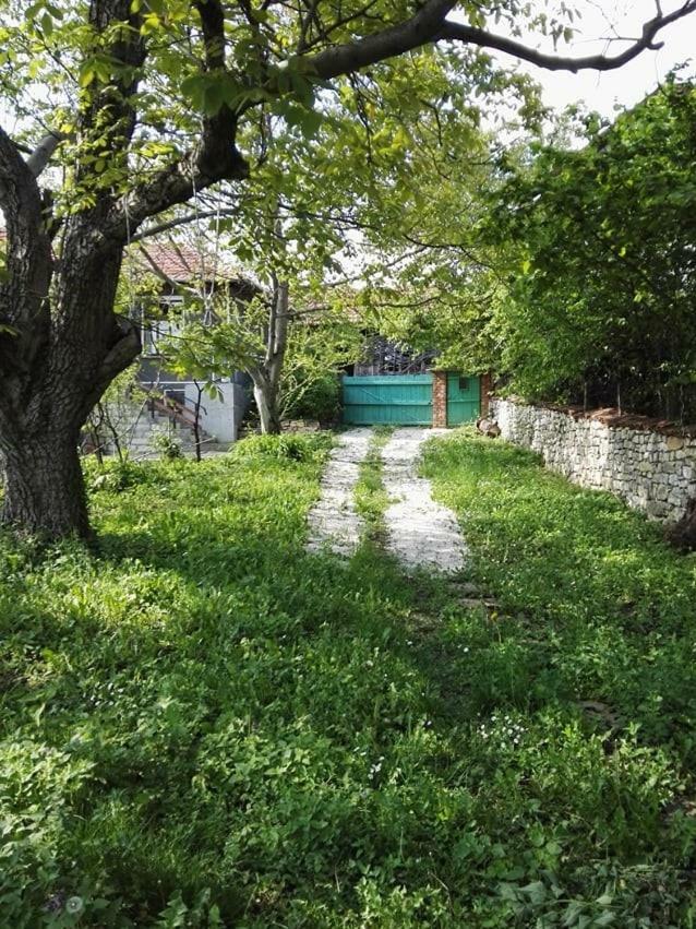 Вилла Beefree Gorsko Slivovo Экстерьер фото