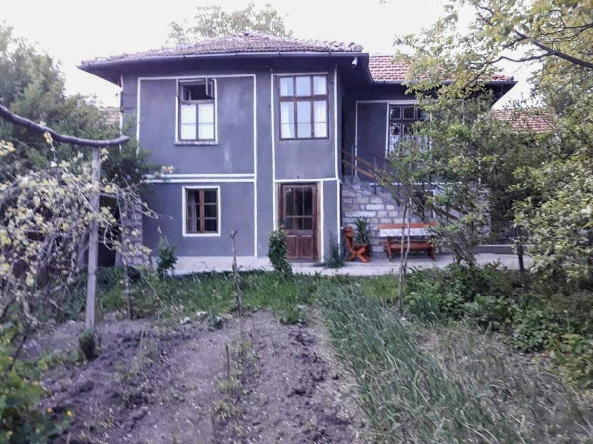 Вилла Beefree Gorsko Slivovo Экстерьер фото